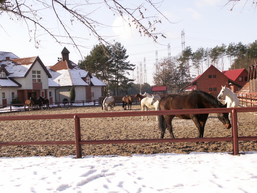 Resort Wawrzkowizna Rzasawa