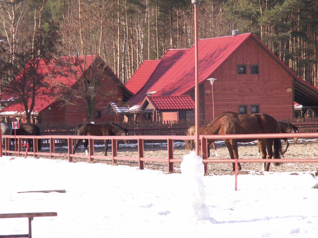 Wawrzkowizna Resort